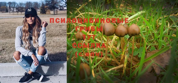 mix Белая Холуница