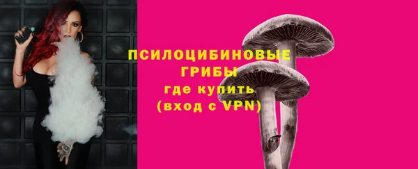 мескалин Ладушкин