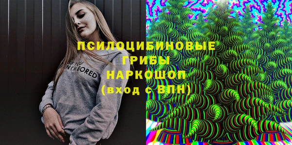 дживик Лабытнанги