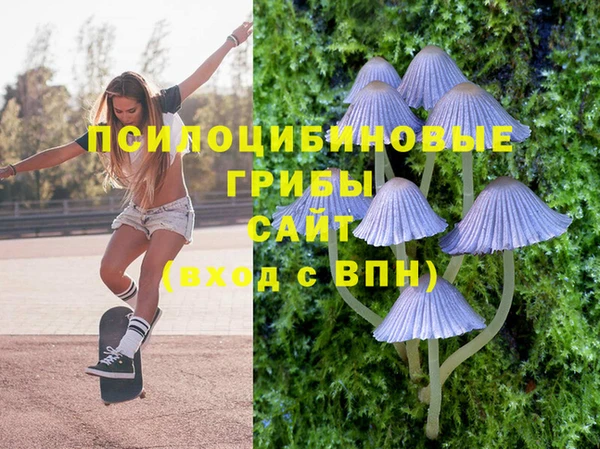 мескалин Кулебаки